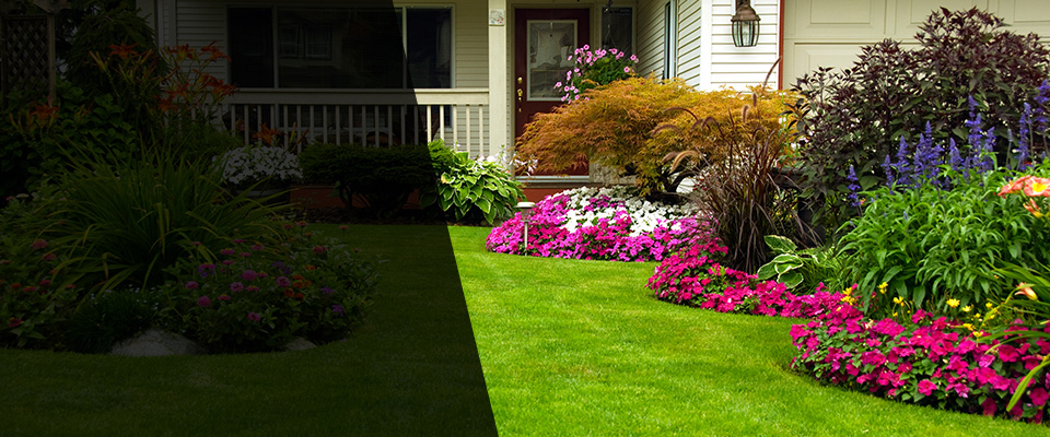 Wheeler Landscapers